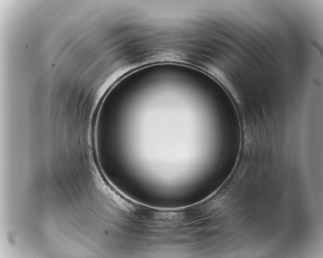 X0000102511339200808151537