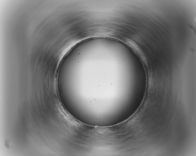 X0000102511340200808151537