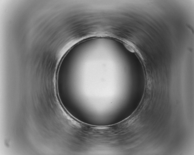 X0000102511343200808151537