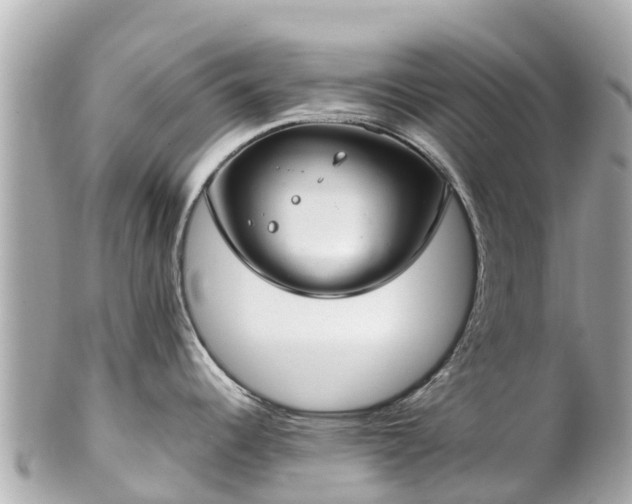 X0000102511344200808151537