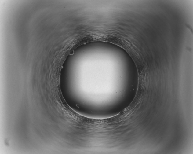 X0000102511345200808151536