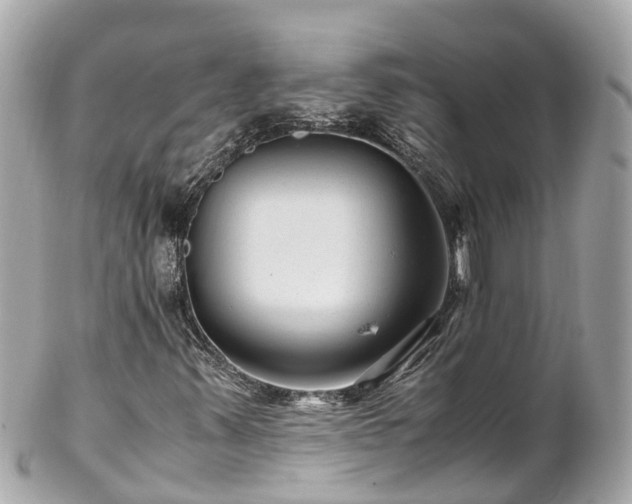 X0000102511347200808151536
