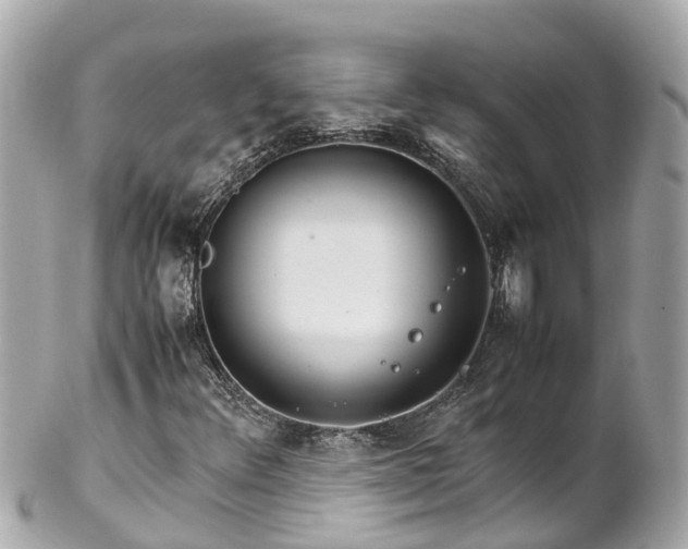 X0000102511348200808151536