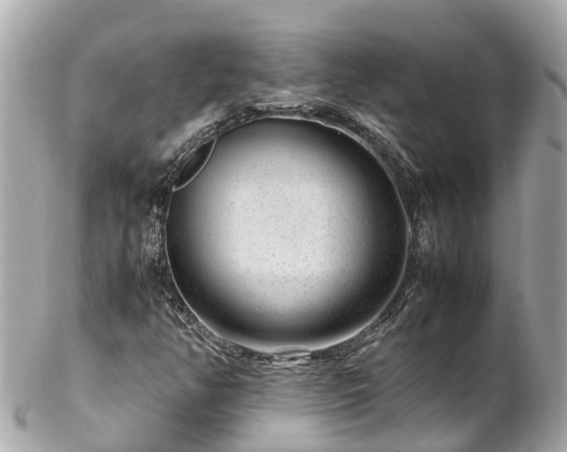 X0000102511350200808151536