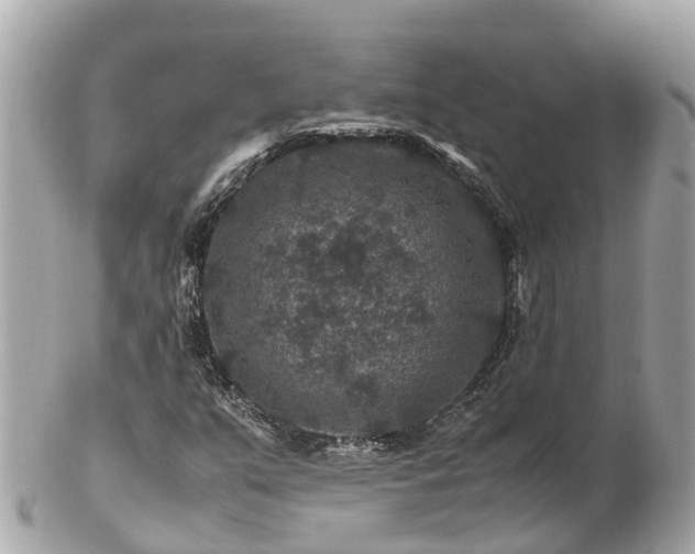 X0000102511351200808151536