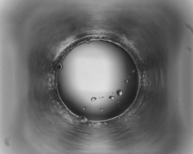 X0000102511352200808151536