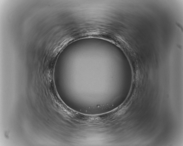 X0000102511353200808151536