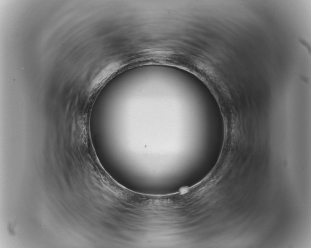 X0000102511354200808151536