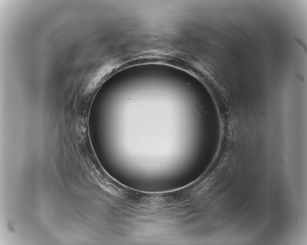 X0000102511355200808151536