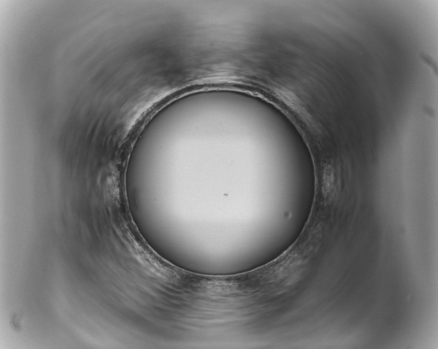 X0000102511356200808151536