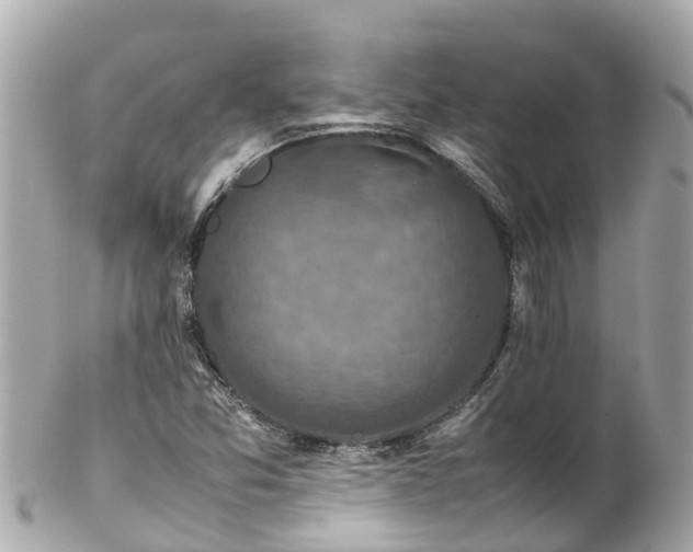 X0000102511357200808151536