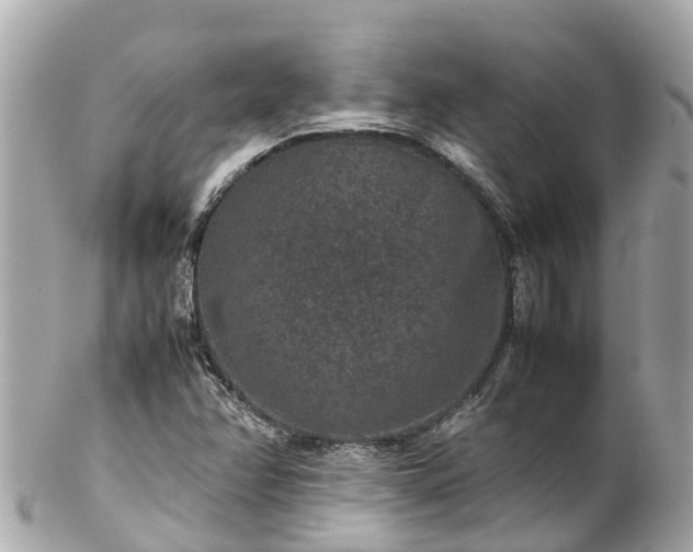 X0000102511358200808151536