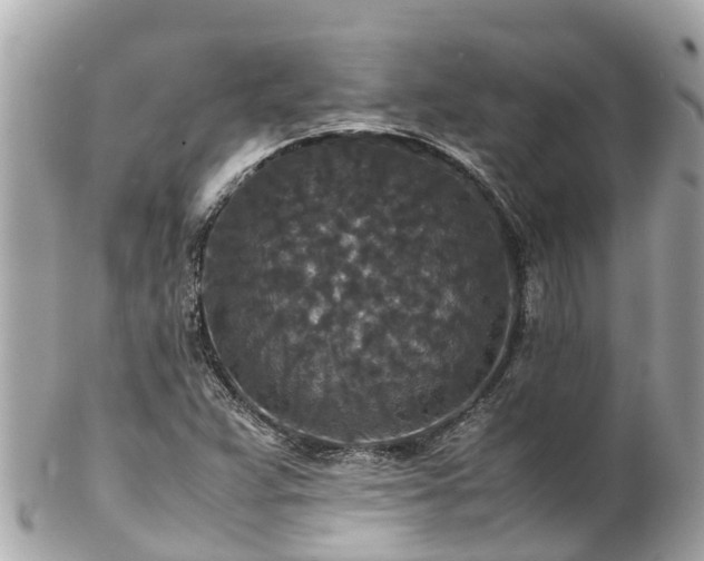 X0000102511359200808151536