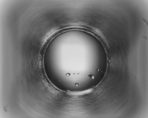 X0000102511360200808151536