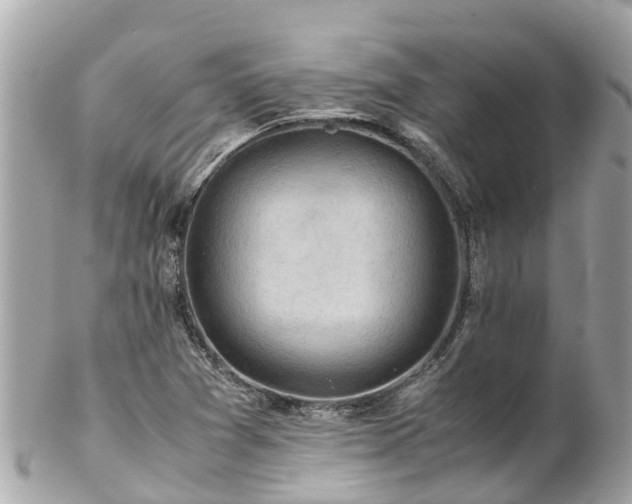 X0000102511361200808151536
