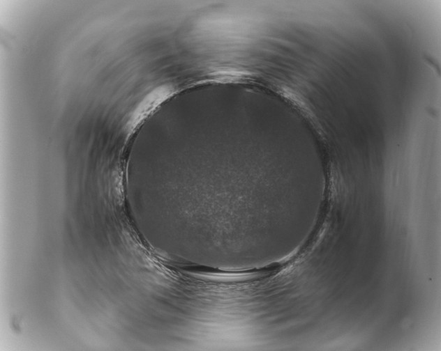 X0000102511362200808151536