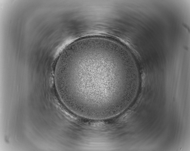 X0000102511363200808151536