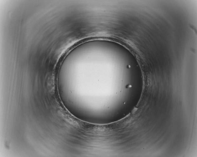 X0000102511364200808151536