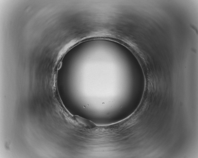 X0000102511366200808151536