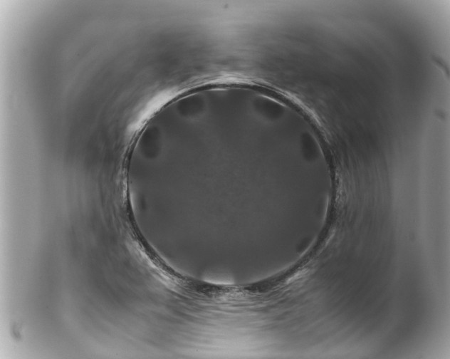 X0000102511367200808151536