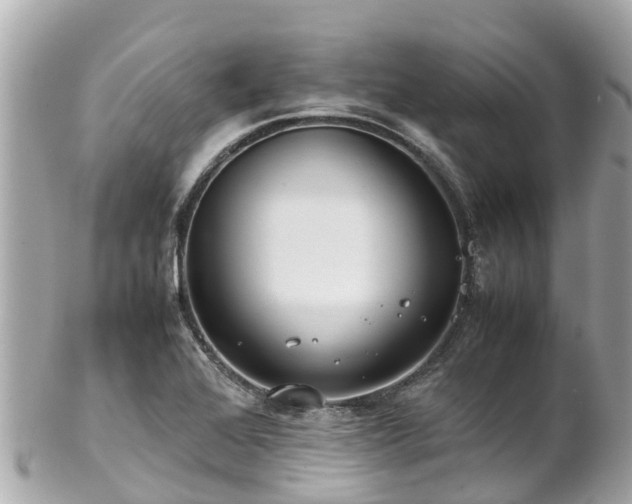 X0000102511368200808151536