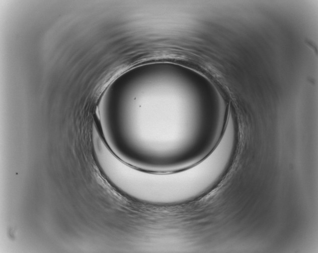 X0000102511369200808151536