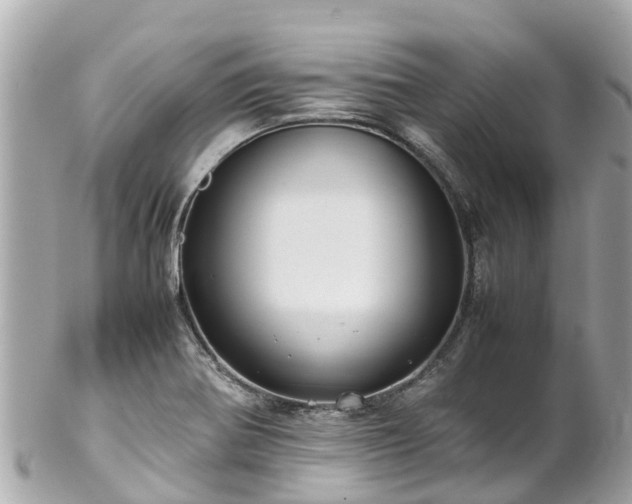 X0000102511370200808151536