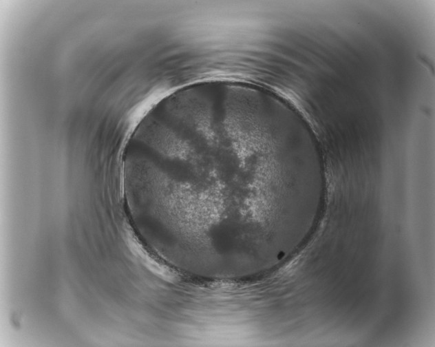 X0000102511371200808151536