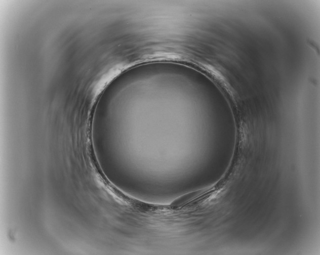 X0000102511373200808151535
