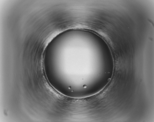 X0000102511374200808151535
