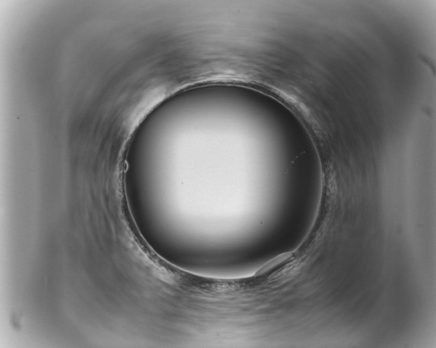 X0000102511375200808151535