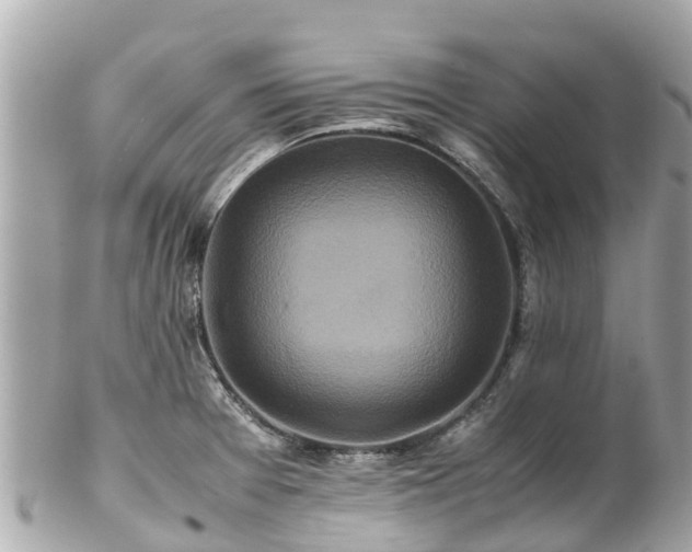 X0000102511377200808151535