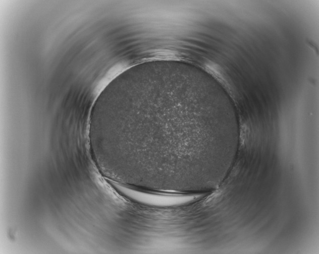 X0000102511378200808151535