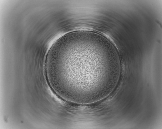 X0000102511379200808151535