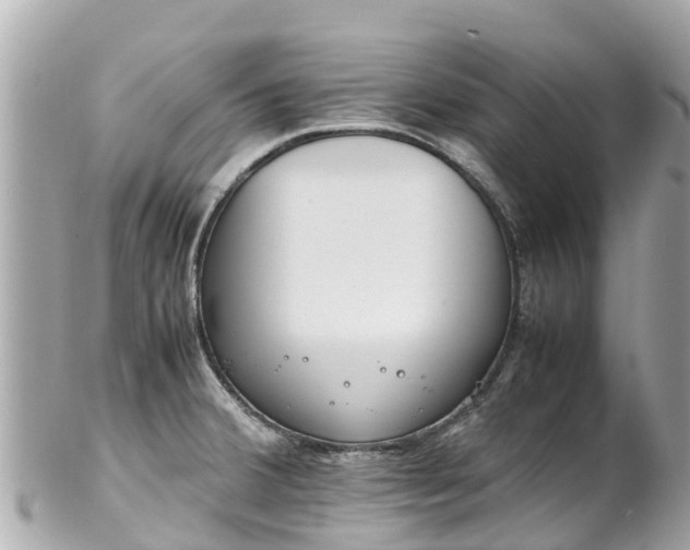 X0000102511380200808151535