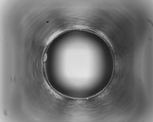 X0000102511381200808151535