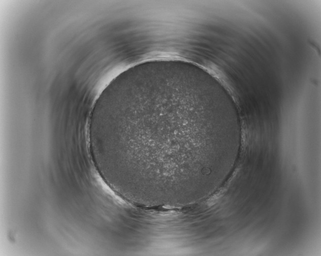 X0000102511382200808151535