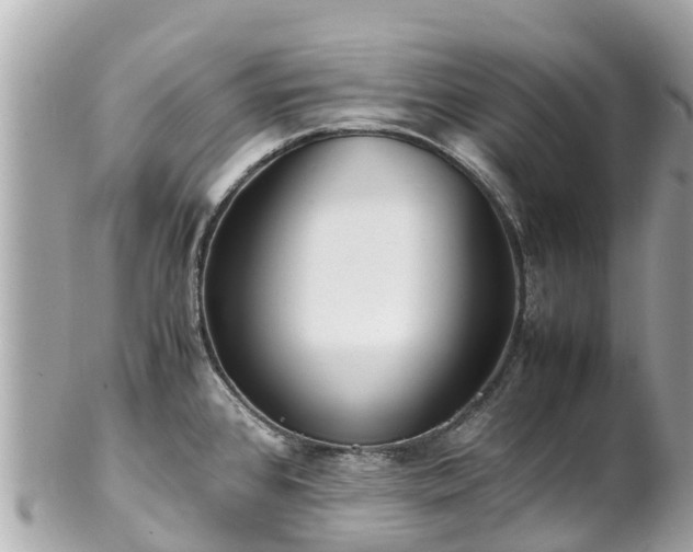 X0000102511384200808151535