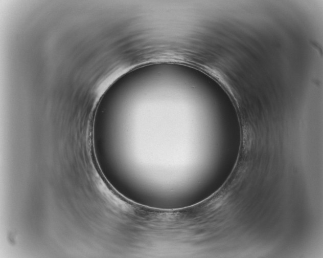 X0000102511387200808151535