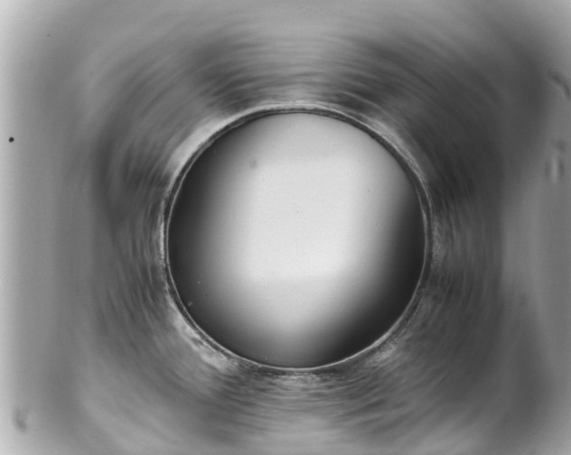 X0000102511388200808151535