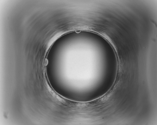X0000102511389200808151535