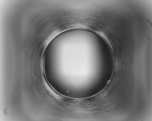 X0000102511391200808151535