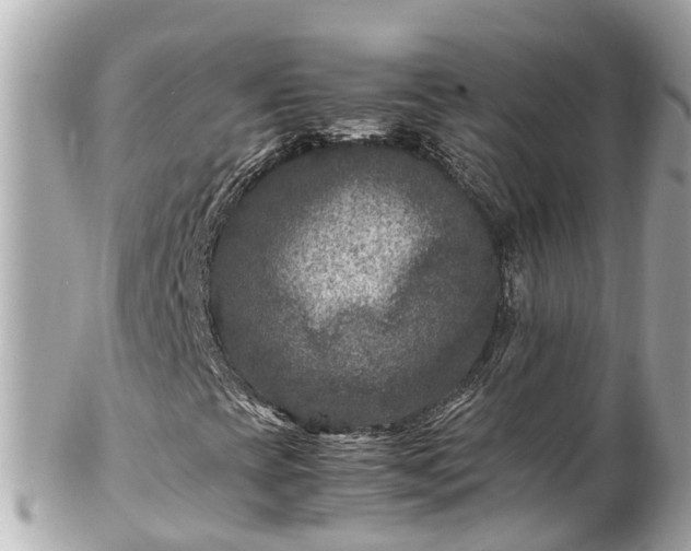 X0000102511393200808151534