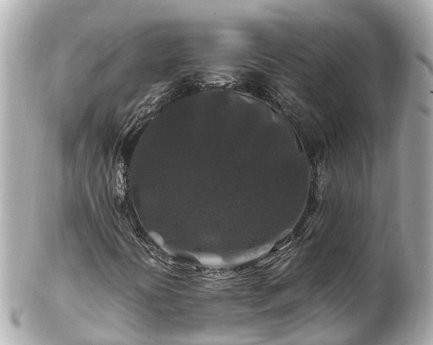 X0000102511394200808151534