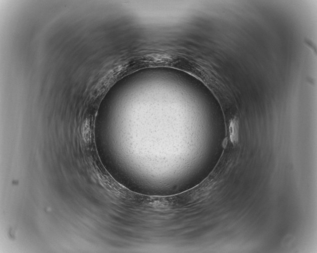 X0000102511395200808151534