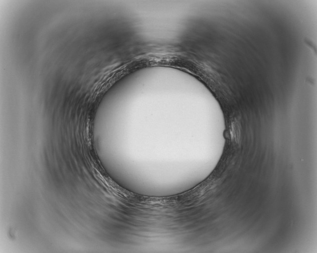 X0000102511396200808151534