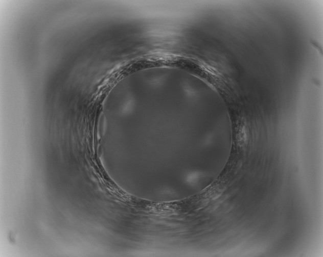 X0000102511397200808151534