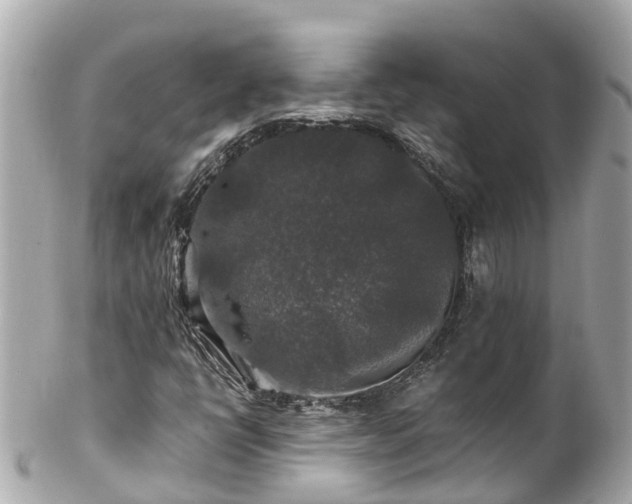 X0000102511398200808151534