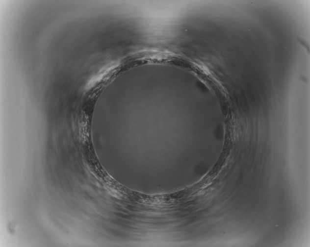 X0000102511399200808151534