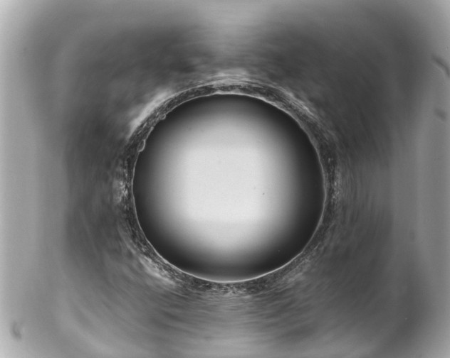 X0000102511400200808151534